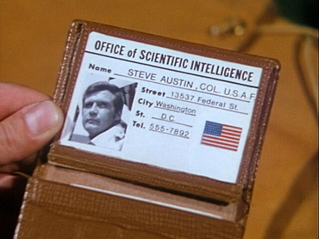 Steve Austin Fake Id